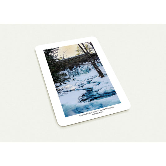 09706a4e-12c8-47bd-aa3c-b6849df31319