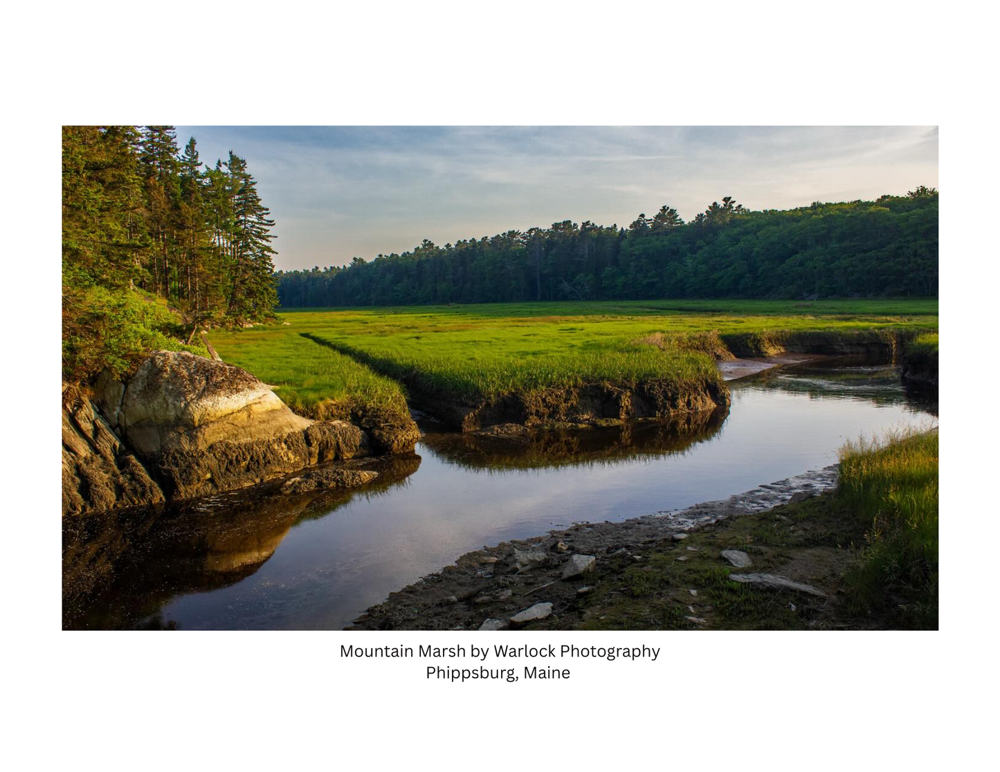 Morse Mountain Conservation Postcard Pack ( Digital )