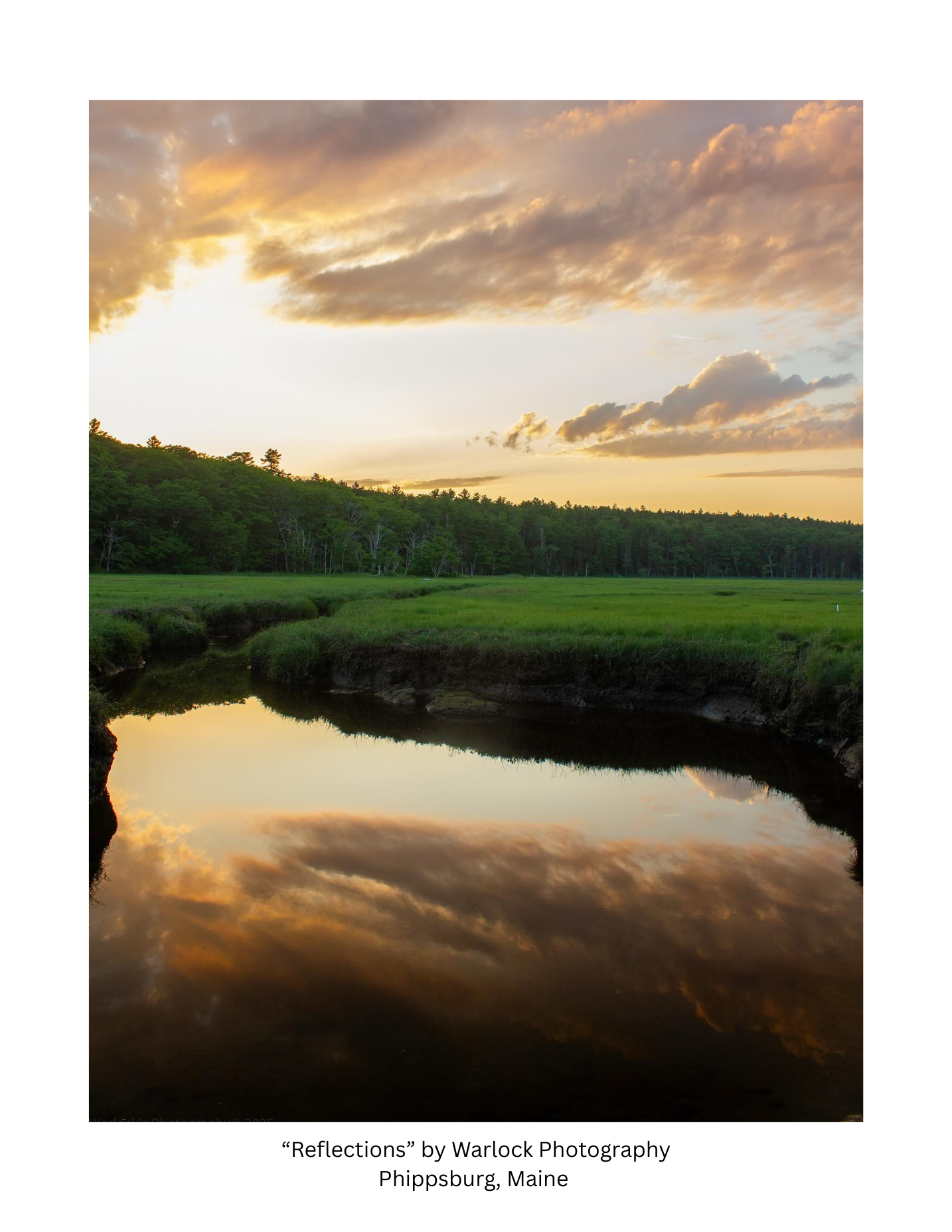Morse Mountain Conservation Postcard Pack ( Digital )