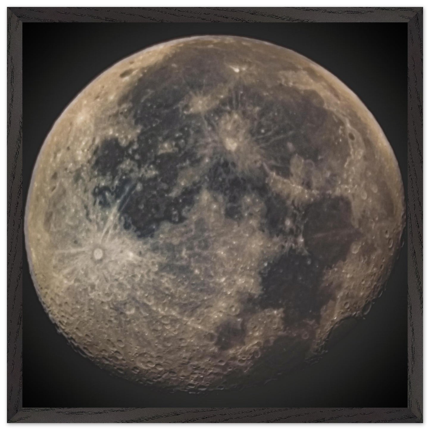 2a03e13e-35d9-4263-b325-3cd1aa7901f4