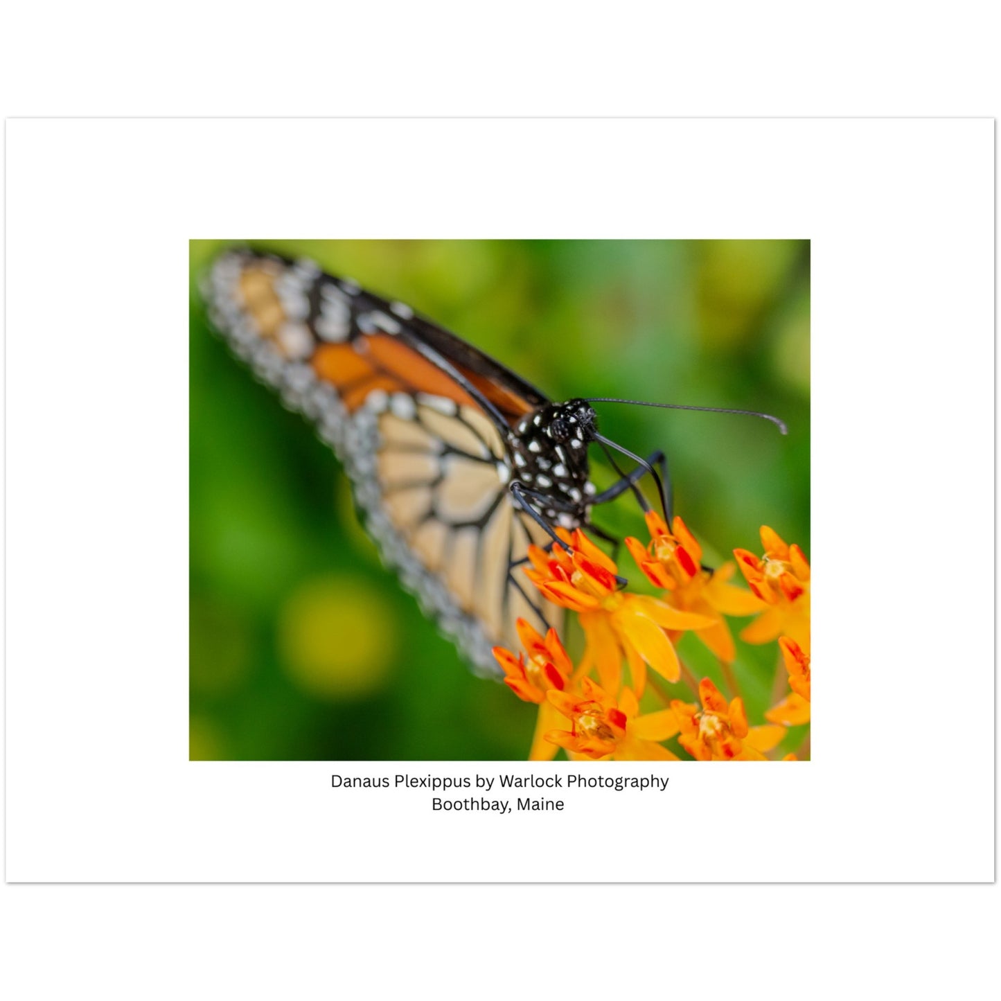 2b770b76-8ffc-4151-a839-c6faa4b1779f