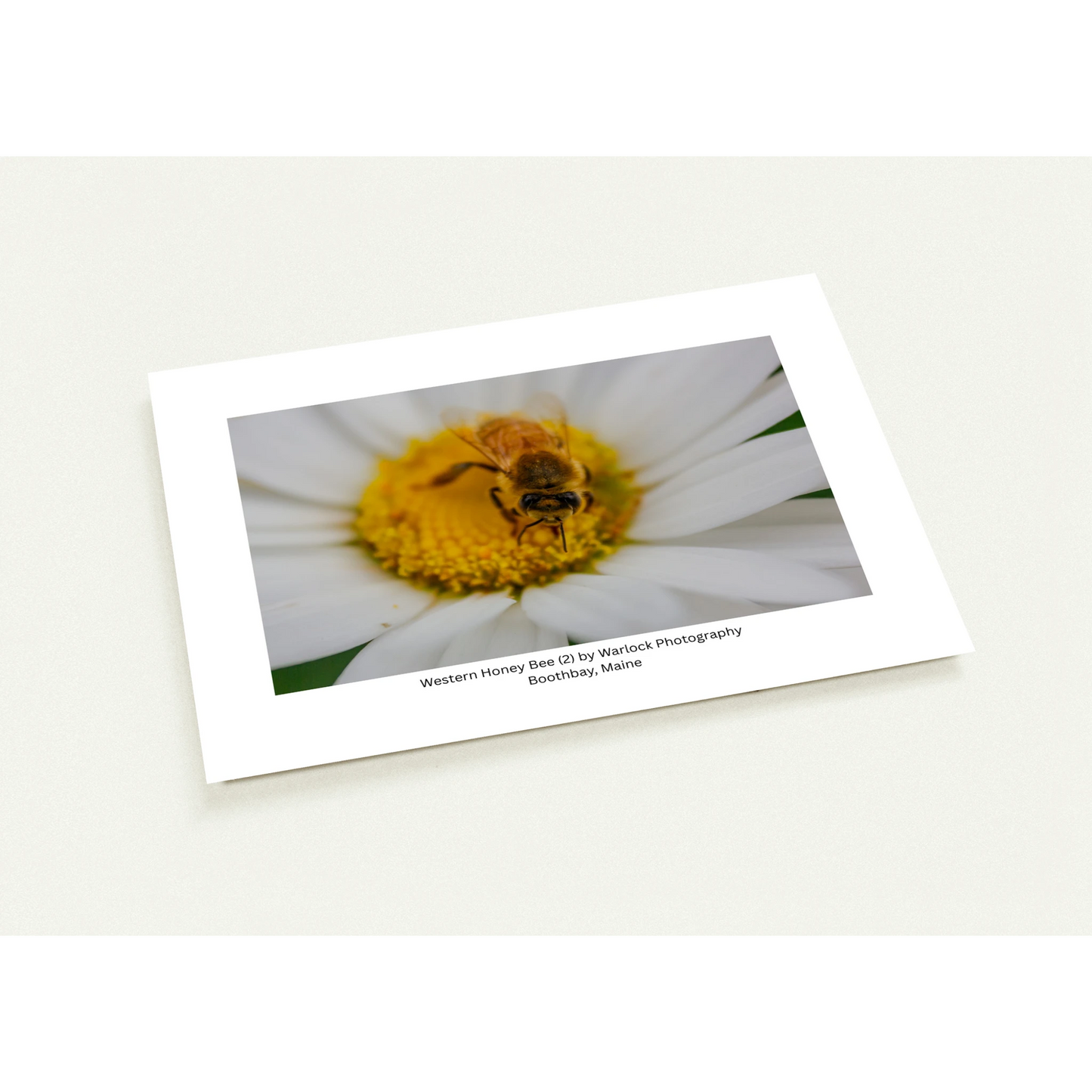 2cc41825-b407-4864-a35e-88fc6699b71a