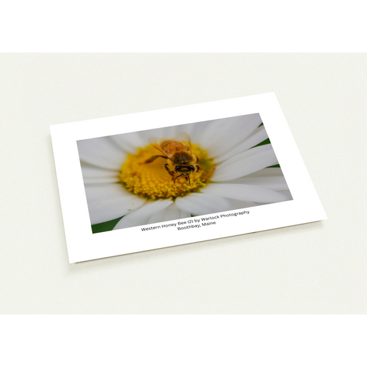 2cc41825-b407-4864-a35e-88fc6699b71a