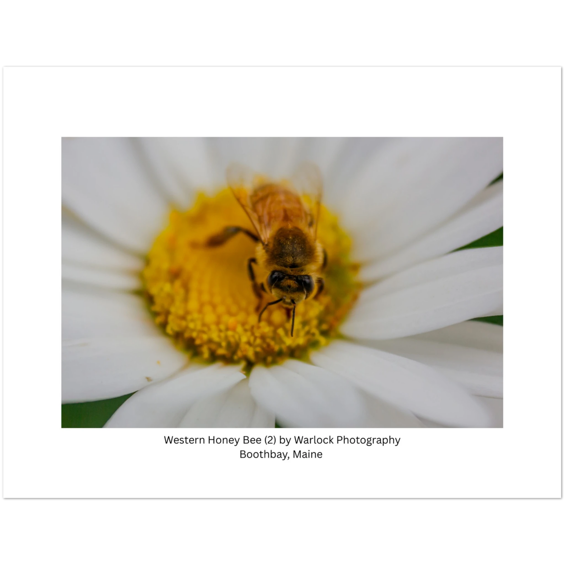 586782d1-c204-4c61-ab31-905dd1575b0f