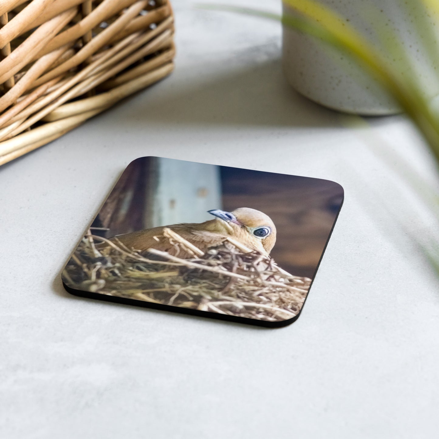 An artisan coaster titled 'Nesting Rock Dove' by Warlock Photography, featuring a soft-toned photograph of a female bird in its nest.