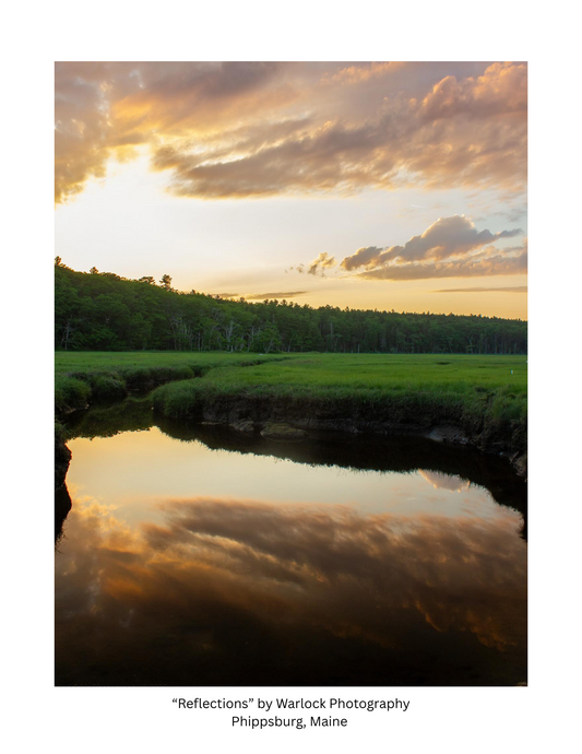 Morse Mountain Conservation Postcard Pack ( Digital )