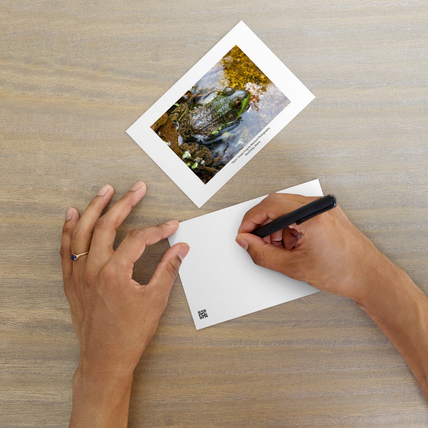 An artisan postcard titled 'Stoic' by Warlock Photography, featuring a macro photograph of a Green Frog camouflaged in a natural pond environment.