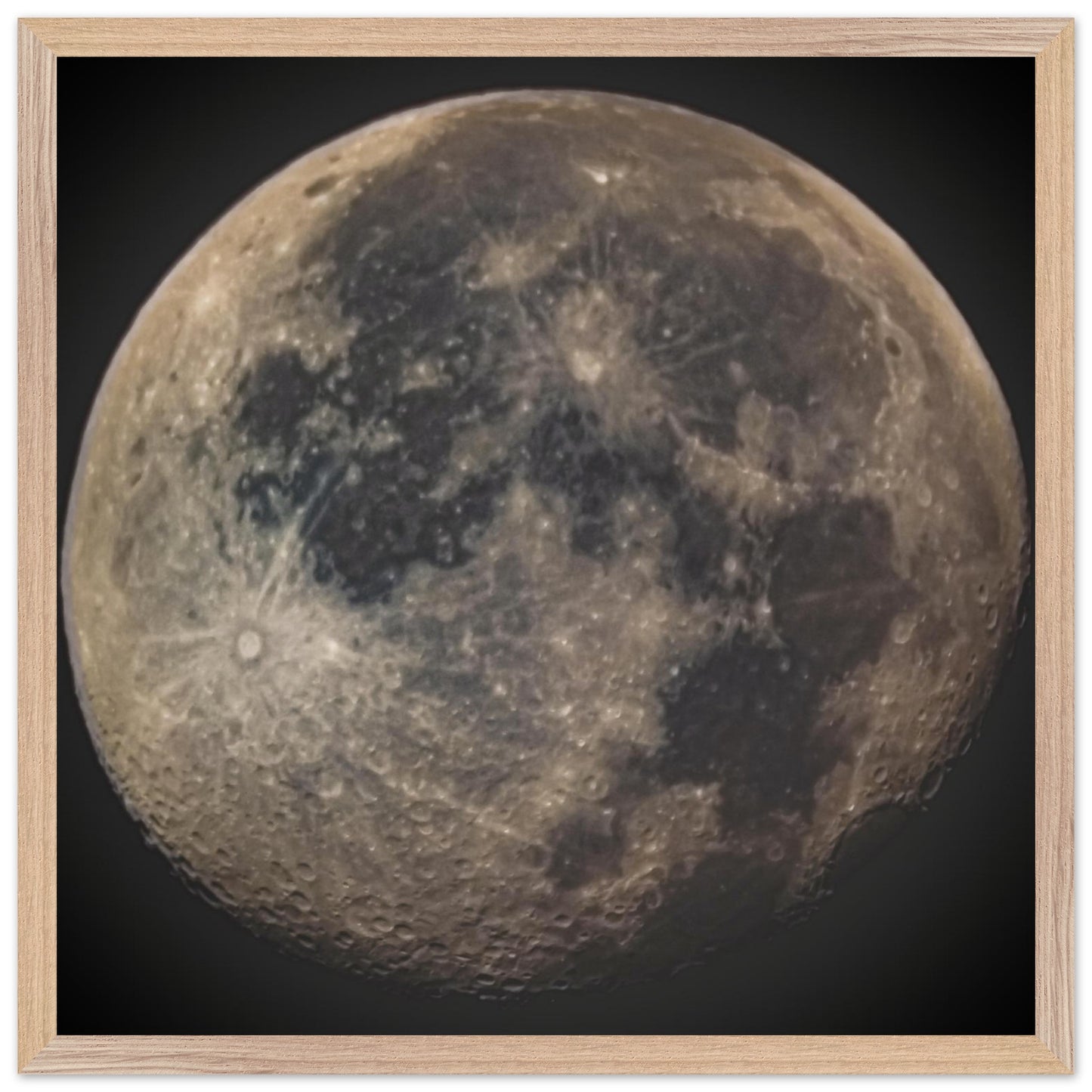 ab3f6536-0c00-4ec5-8b41-f8ca6a871344