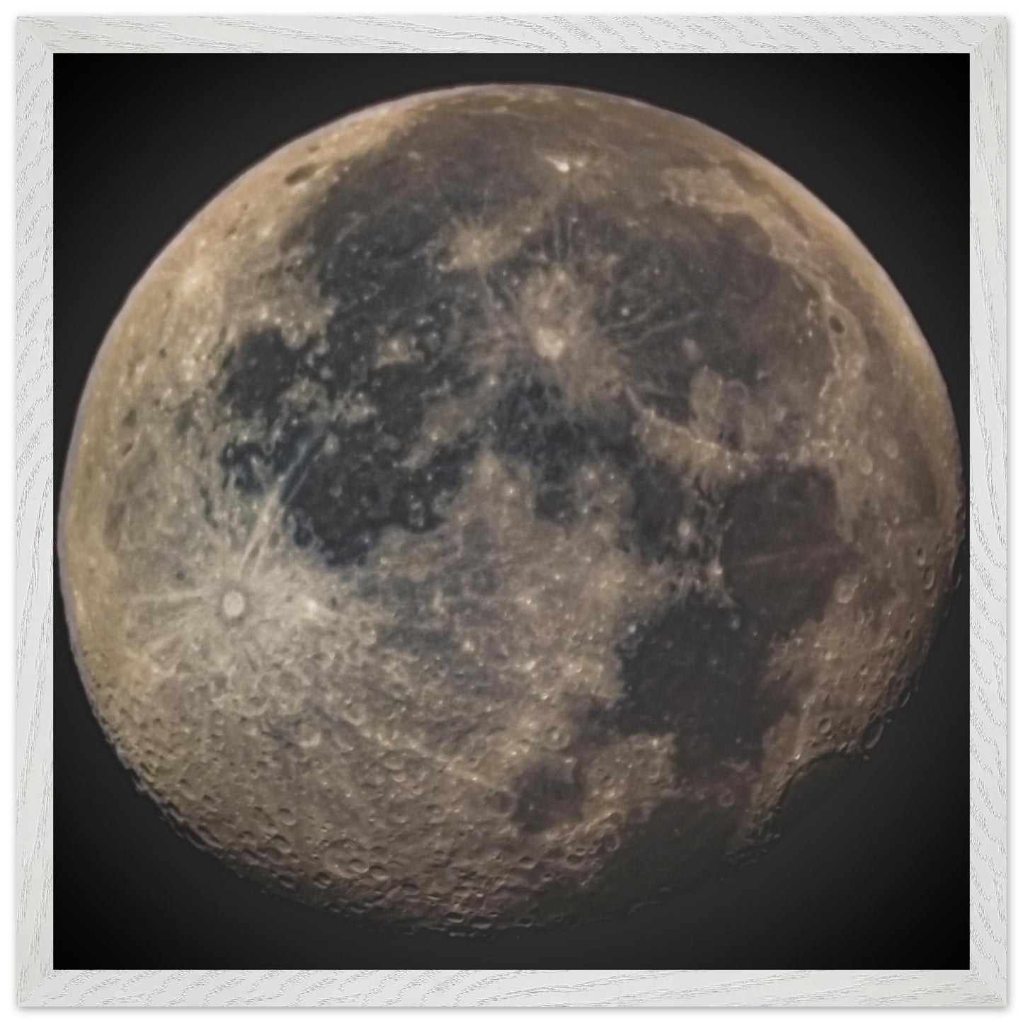 d8866919-5e4c-4b16-a2ef-494c3180fd99